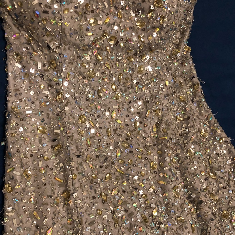 Prom Dress - Picture 3 of 4